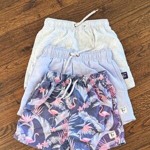 The Endless Summer Swim Bundle